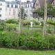 20120707-casino-cleomes.jpg