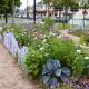 20120804-jardin-sandrine-bonnaire.jpg