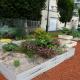 20120804-potager-du-marche.jpg