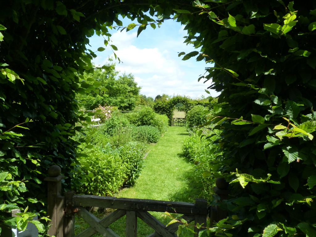 jardin de papillons