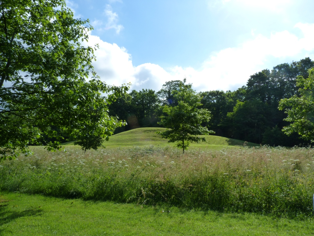 motte médiévale