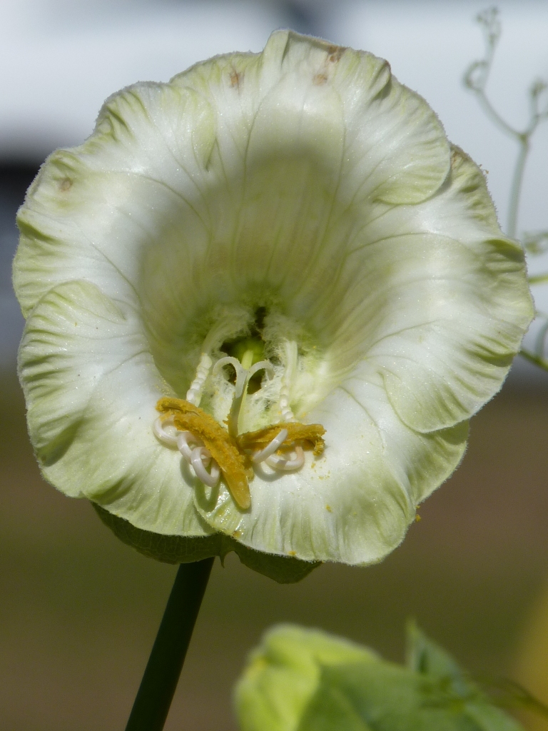 P1160270