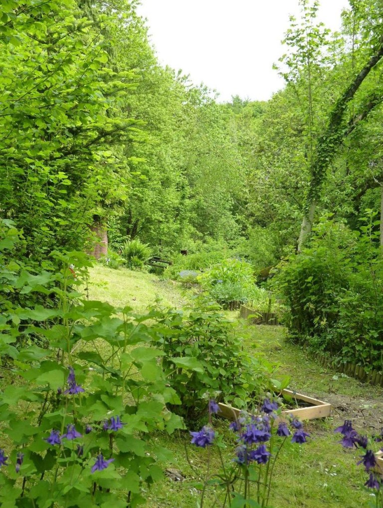 Photo 14